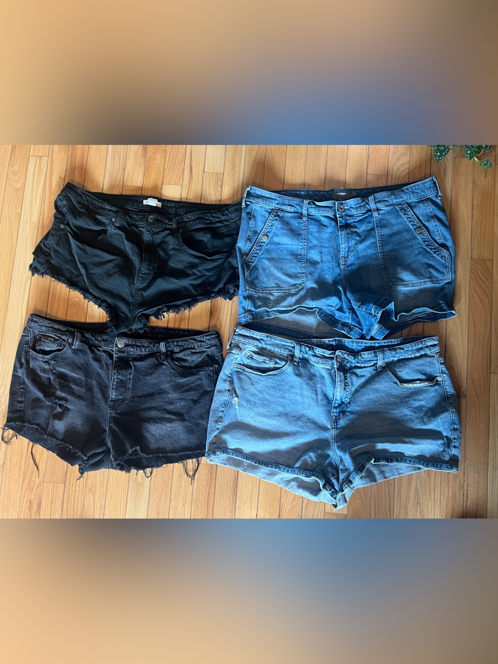 torrid Jean shorts bundle